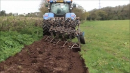 ploughing the maize field 